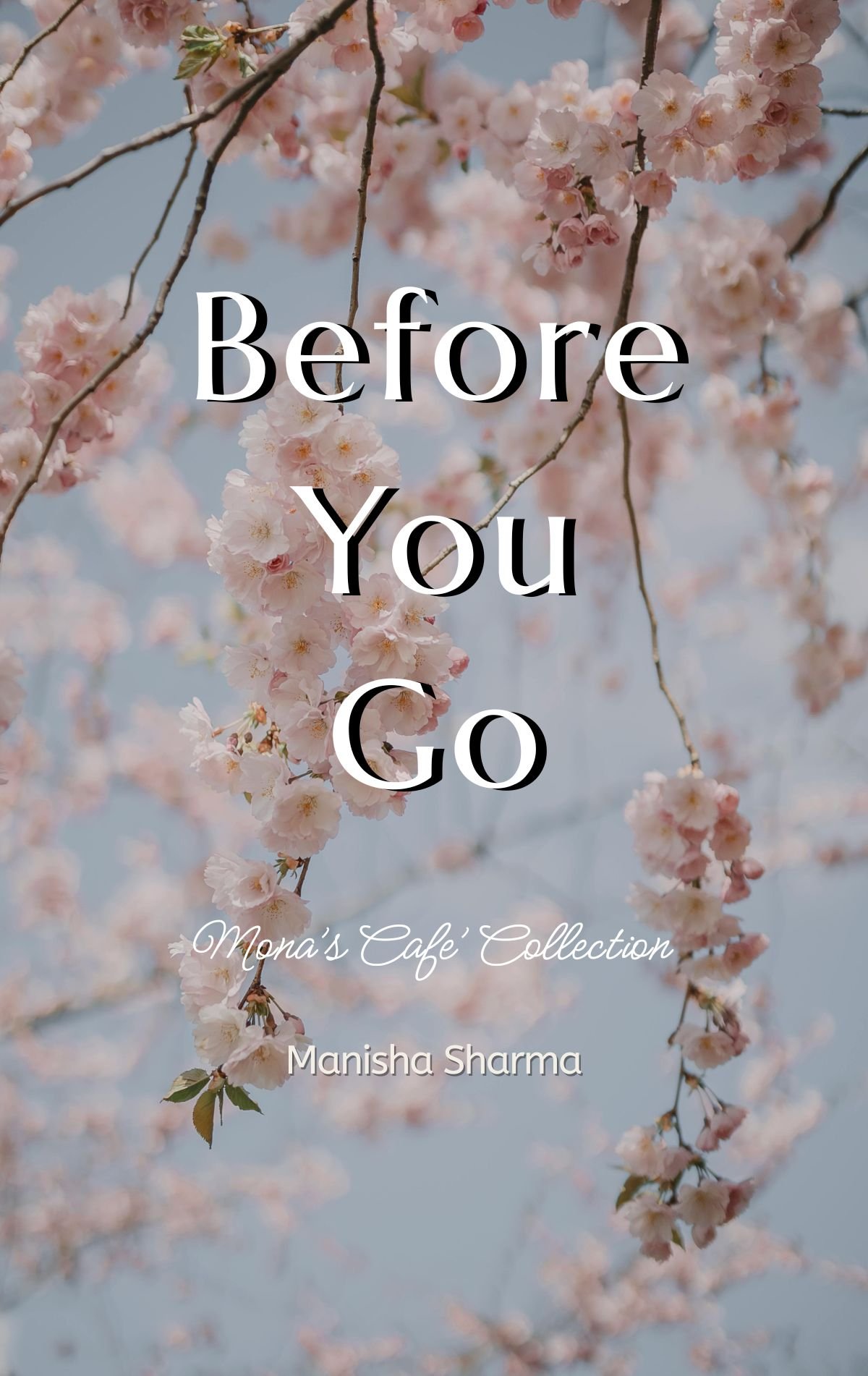 Before You Go 1